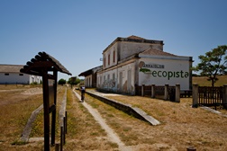 Mais de 3000 quilómetros cicláveis em homologação no Alentejo e Ribatejo   
