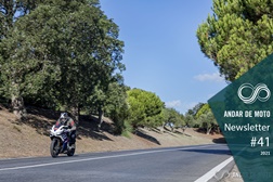 Newsletter nº 41/2021 - 12 de Outubro de 2021