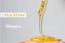 Odemira recebe Semana Gastronómica do Mel e Medronho