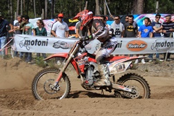 Luís Ferreira
