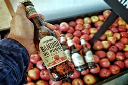"Bandida do Pomar" - A nova sidra de nome português