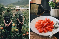 Quinta de Ventozelo volta a vencer  o concurso Tomate Coração de Boi do Douro