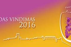 54.ª Festa das Vindimas celebra tradição vitivinícola do concelho