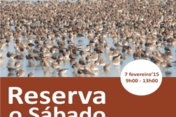 Observação de Aves na Mata Nacional da Machada