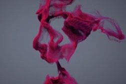 Designer portuguesa vence prémio de melhor website indivivual no The Pixel Awards 2013