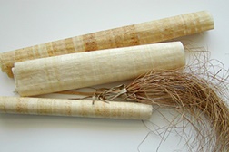 Workshop "Plantas bíblicas" no Museu do Oriente
