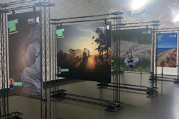 Exposição de fotografia MOBI.E “ECO.Flash” patente na Estação Baixa-Chiado - Até 29 de Setembro