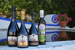  Casa Anadia planta olival BIO em solo Alentejano.