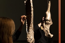 Osso Exótico de Francisco Tropa apresentam performance única em Serralves - No dia 15 de março nas  Galerias e Auditório do Museu