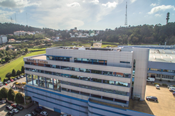 Toyota reorganiza distribuidor em Portugal - Criada a Divisão de Marketing e Experiência do Cliente