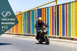 Newsletter nº 31/2021 - 03 de Agosto de 2021