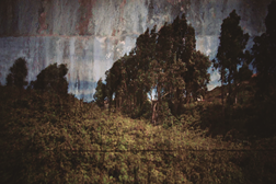 Exposição “Primeiras Impressões de uma Paisagem” na Solar - Galeria de Arte Cinemática