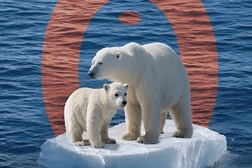 SILA: peça de marionetas sobre alterações climáticas no Ártico e cultura Inuit estreia em Portugal  - Casa de Teatro de Sintra recebe espetáculo de 16 de abril a 3 de maio 