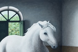 Os Cavalos