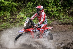 Paulo Gonçalves