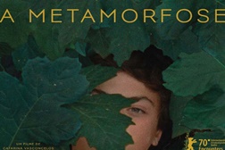 A Metamorfose dos Pássaros