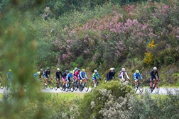 Esperanças pedalam na “roda” da tradição