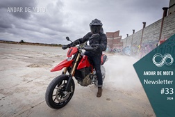 Newsletter nº 33/2024 - 21 de Agosto de 2024
