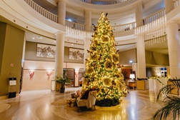 Quatro refúgios para viver a magia do Natal: do Algarve à Serra da Gardunha - Com programas para todas as idades