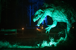Noites Jurássicas estão de regresso para desvendar um Dino Parque que só se revela após escurecer - Nos dias 23 e 30 de Novembro em horário estendido