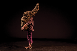 Vera Mantero no Festival Dias da Dança em Serralves