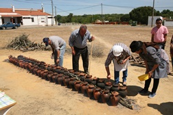 Festa da Coqueira em Canal Caveira