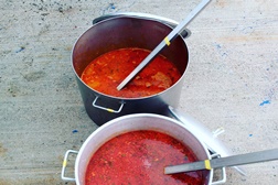 Festival Caldo de Peixe 2018