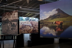 Entrega de prémios do Concurso de Fotografia de Natureza Quercus | BMW i