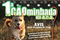 1.ª “Cãominhada” convida donos e cães para passeio pela “Serra” de Avis