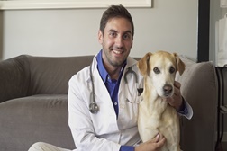 Dr. Bigodes: startup portuguesa inova com veterinário em casa todos os dias e até às 24h