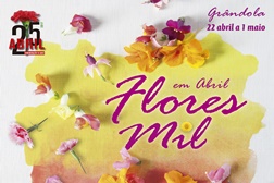 Grândola comemora Abril com Flores à Mesa