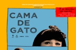 Bela Vista + Cama de Gato