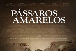 Pássaros Amarelos