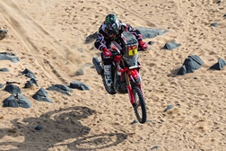 Rali Dakar 2026: etapa 12, Brabec reassume liderança e é quase campeão, portugueses com dia positivo