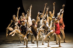 SAGRAÇÃO DA PRIMAVERA |QUORUM DANCE COMPANY - No Teatro Maria Matos em Março de 2026