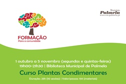 Workshop de plantas condimentares em Palmela