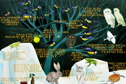 Torres Vedras: Exposição de Ema M na Fábrica das Histórias