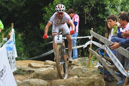 David Rosa