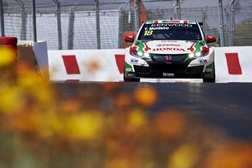 Tiago Monteiro