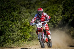 Paulo Gonçalves