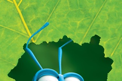 "Uma Vida de Insecto" - Uma divertida aventura a não perder no Disney Channel