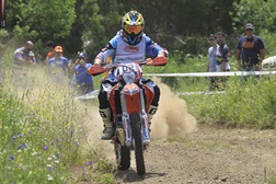 Luís Ferreira