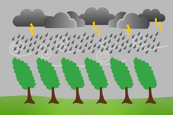 Chuva, vento forte e sensação térmica de frio - Das 18h de dia 24 até às 12h de dia 25 de Novembro