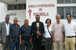 Adega de Palmela lança vinho Bonga em Angola