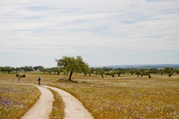 Agenda de Ciclismo (25 a 27 de março de 2022)