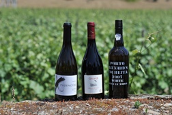 Vencedores do 5.º ‘Concurso de Vinhos do Douro Superior’ eleitos e revelados em Foz Côa