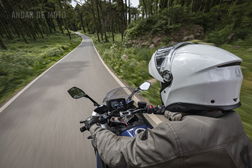 Suzuki e o futuro sustentável