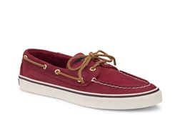 PVP - 79,90€