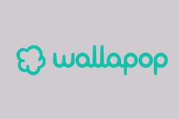 Do streaming à estante: porque é que a geração digital está a redescobrir o vinil? - As pesquisas por discos de vinil na Wallapop aumentaram 60% no primeiro semestre de 2026, face ao mesmo período de 2025