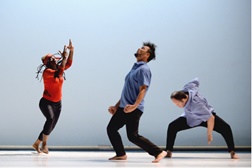 Estreias de novas criações marcam fim de semana dedicado à dança contemporânea em Guimarães 